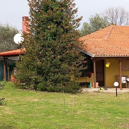Вилла Olympos House Литохоро Экстерьер фото